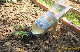 Damlama sulama sistemi kurmak istiyorum. Plastik Siselerden Kendi Elleriyle Damla Sulama Bahce