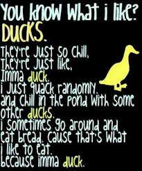 Pin By Anne On Hmmmmmm Duck Memes Duck Quotes Duck