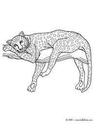 We did not find results for: Pin On Animal Art