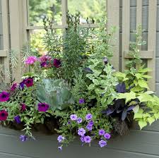 Flowers for a full sun deck or window box. 20 Planter Box Ideas To Inspire You