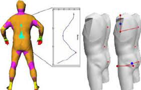 The abdomen contains all the digestive organs, including the stomach, small. Detected Areas On The Body Back At One Of The Level Range In Cyan Download Scientific Diagram