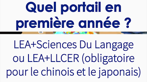 Actuellement étudiante en première année de licence sciences. Lettres Langues Sciences Humaines Universite D Orleans