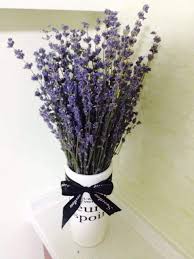 On sale for $33.74 original price $44.99 $ 33.74 $44.99. French Dried Lavender Flowers Bunch Fragrant 100gr Home Kitchen Amazon Com