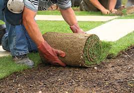How quickly do i need to lay the turf? What Does Turf Cost Turf Online