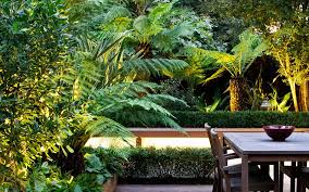 This garden uses black bamboo fencing rolls and large diameter bamboo poles. Tropical Garden Designs Modern Exotic Gardens London Mylandscapes