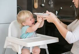 Why Your Baby Is Not Eating Food Solutions And Feeding Tips
