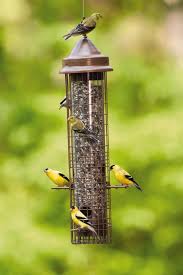 Aps Bird Feeder Pole System Problem Solving House Sparrow Barrie On Squirrel Proof Bird Feeders Bird Feeders Anti Squirrel Bird Feeder