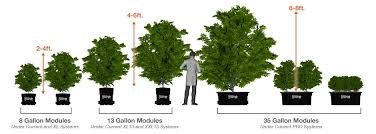 A wide variety of 5 gallon fabric pots options are available to you, such as material, type. Image Result For 5 Gallon Pot Size Plant Size Plants Gallon Herbs