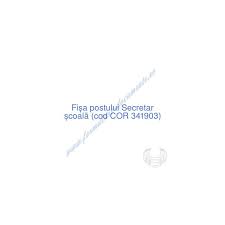 Administrator financiar (patrimoniu) (studii superioare). Fisa Post Secretar Scoala