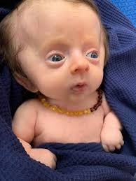 I saw someone else do this and was inspired! Bring a pack of diapers and  get your photos taken!