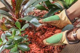 Check spelling or type a new query. Using Wood Chips In The Garden Learn About Wood Chip Mulch Pros And Cons