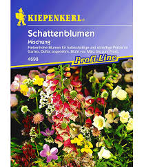 Schattenblumen Mischung Weitere Blumensamen Bei Baldur Garten