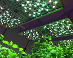 This is because the light consumes only about 400w of power from the wall socket while it offers an output which is equivalent to one that comes from an 800w hid grow light. Phytofy Rl Tunable Led Grow Light From Osram Professional And Industrial Applications
