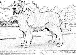 Best Coloring Books For Dog Lovers Dog Coloring Page Animal Coloring Books Dog Coloring Book