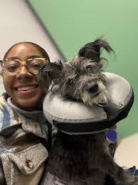 Linda Rega's Instagram, Twitter & Facebook