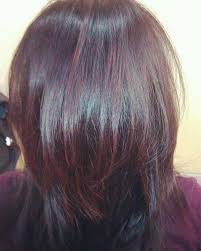 The prettiest burgundy, wine, maroon, and purple hair colors and highlights to try asap. Pin By Shawna Higginson Cainion On Stunning Hair Black Hair With Highlights Hair Styles Burgundy Hair
