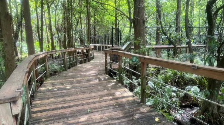 Busch Wildlife Sanctuary – Florida Hikes