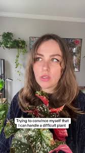 Anyone else get nervous when they get a plant that’s notoriously tricky? 😅  #fyp #planttok #planttiktok #plants #begonia #polkadotbegonia #houseplants  #jakeshane #houseplantsoftiktok #plantparent ...