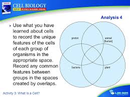 These cells tend to be larger than the cells of bacteria, and have developed specialized packaging and transport mechanisms that may be. What Is A Cell Activity 3 What Is A Cell Get Started What Do Cells Look Like What Are Cells Made Of What Do Cells Do Write Or Sketch Your Ppt Download