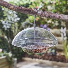 No protection against squirrels, no cover from rain or snow, not designed for pole mounting. The Best Squirrel Proof Bird Feeders Little Green Explorers Outdoor Learning Events And Activities
