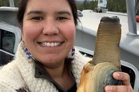 Central Coast First Nations and NIC pilot geoduck aquaculture