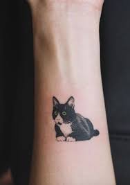 1000 Tatuajes De Gatos Significados Modelos E Inspiraciones With Images Black Cat Tattoos Cat Eye Tattoos Cat Tattoo