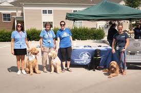 311 s 00 ew kokomo, indiana 46902. Paws Think Connects Canines And People For Healing Towne Post Network Local Business Directory