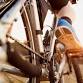 Joyride 2026
