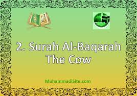 Surah Archives Muhammadi Site