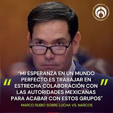 🔴Ante el Senado, Marco Rubio, nominado a secretario de Estado de Estados  Unidos, mantuvo la propuesta de denominar a cárteles mexicanos como 'grupos  terroristas', lo cual puede ser una herramienta "imperfecta" pero "