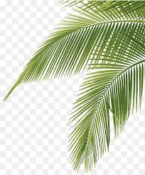 Baliniku channel 1.462 views11 months ago. Ilustrasi Daun Hijau Pohon Arecaceae Air Kelapa Bahan Pohon Kelapa Daun Ranting Pohon Wallpaper Komputer Png Pngwing