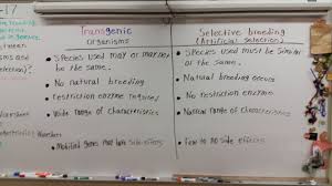 Mr Pittenger Biology Honors Biology 1st Semester Resources Cardinal Biology