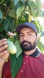 Los polinizadores, como las abejas, las mariposas y los colibríes, son  necesarios para la polinización de las plantas y la producción de  alimentos. Las plantas que atraen a los polinizadores pueden ser