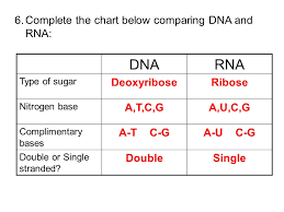 Worksheet Unit 3 Review Ppt Video Online Download