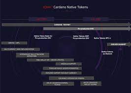 Blockchain future of cloud storage. New Cardano Roadmap Puts March 2021 Date For Goguen Mainet Rollout