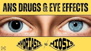 Image result for Mydriasis