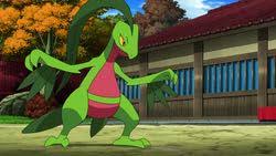This pokémon is a master at climbing trees in jungles. Anime Quotes Grovyle Quote Wattpad