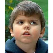 The little rascals is a 1994 american family comedy film produced by amblin entertainment, and released by universal pictures on august 5, 1994. The Little Rascals Stories