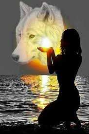 Pin De Bettyann Wills En Beautiful Arte De Lobos Dibujos Bonitos De Animales Fotos De Lobo