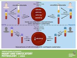 Red blood cells as potential materials for microRNA biomarker study:  overcoming heparin-related challenges