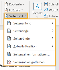 Klicken sie in word 2007 und word 2010 auf seitenzahlen formatieren. So Nutzen Sie Seitenzahlen In Word Schnell Und Einfach Computerwissen De