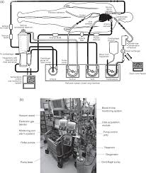 The cardiopulmonary bypass machine and how it works the cpb is the machine that allows surgeons to operate on a nonmoving, bloodless heart. Equipment And Monitoring For Cardiopulmonary Bypass Chapter 1 Cardiopulmonary Bypass