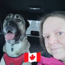 Are your dogs bad at fetch and catch?