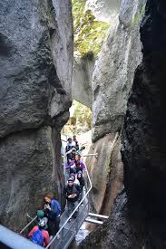 Traseu prin padure, aventura, tiroliana si privelisti de vis! Excursie De O Zi La Canionul 7 ScÄƒri Designed To Travel