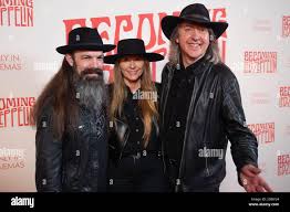 Gitlin hi-res stock photography and images