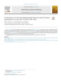 Image result for Ceropegia togoensis