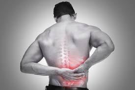 They move our bones and associated body parts by pulling on them one way to remember which muscle is the agonist: Lower Back Pain Right Side Above Hip Archives Building Personalities