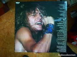 Vinilo LP Tigres Listos para el asalto RCA 1984 Pedro Bruque Albert Pont