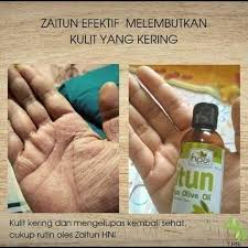 Minyak Zaitun Hni Hpai Gaya Hidup Sehat Minyak Zaitun Produk