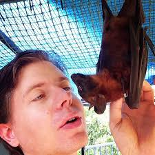 Oh my sweet Demity it's been too long #Pteropusscapulatus